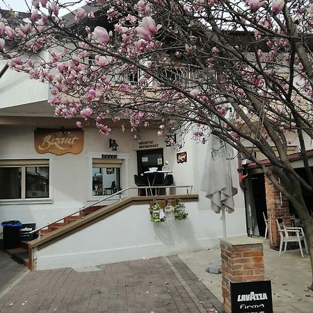 Bizant Boutique Hotel Bacau Luaran gambar